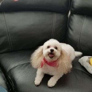 Meet your Posher, Coylette